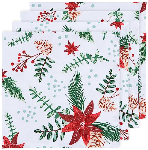 Poinsettia