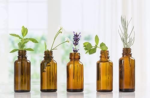 Nature's Note Organics 100% Pure Chai Tea Essential Oil - 8 Fl Oz Aromatherapy Grade for Diffusers, Massage & Relaxation