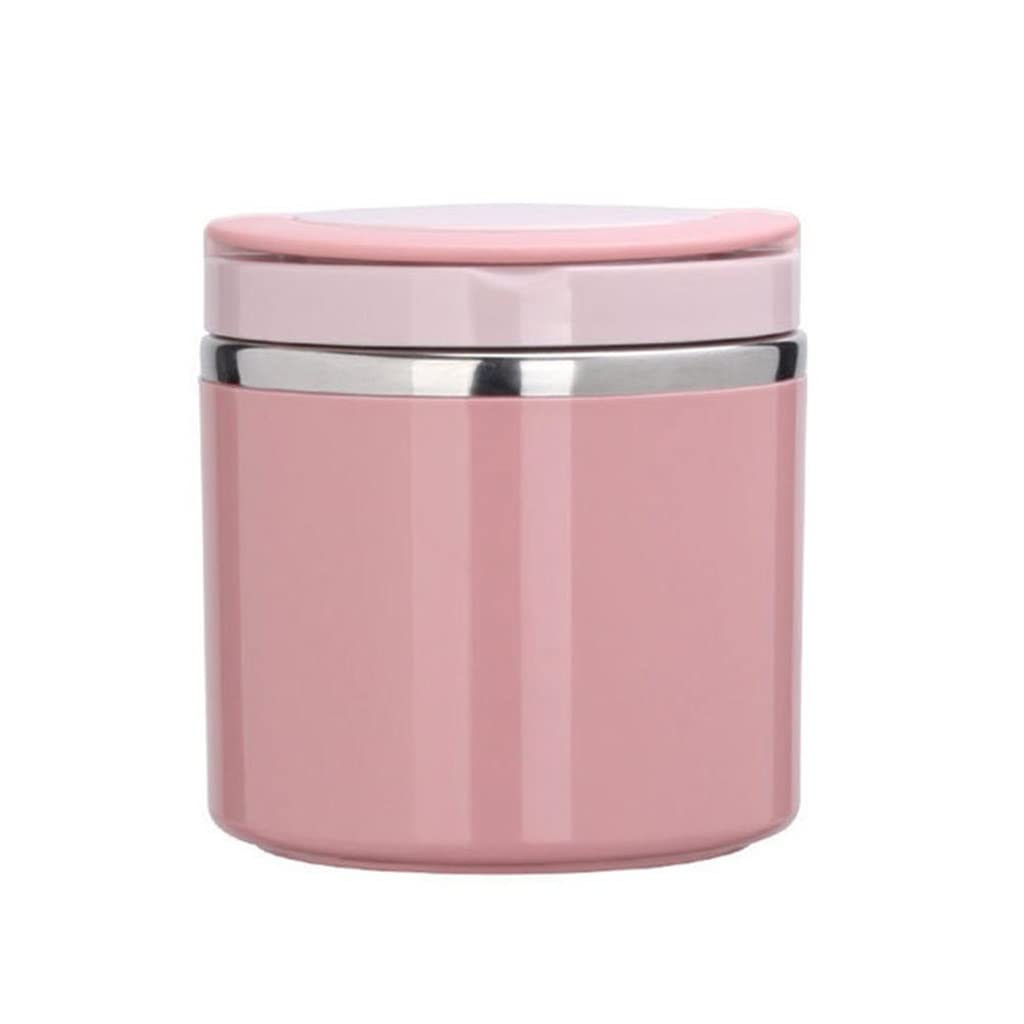 Stainless Steel Bento Lunch Box with Handle - for Office & School