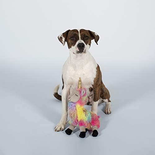 FRINGE STUDIO Dog Toy - I Want to Be A Llamacorn Plush Pet Chew Toy for Small & Medium Dogs (289322) | Fun Interactive Playtime & Cuddle Companion