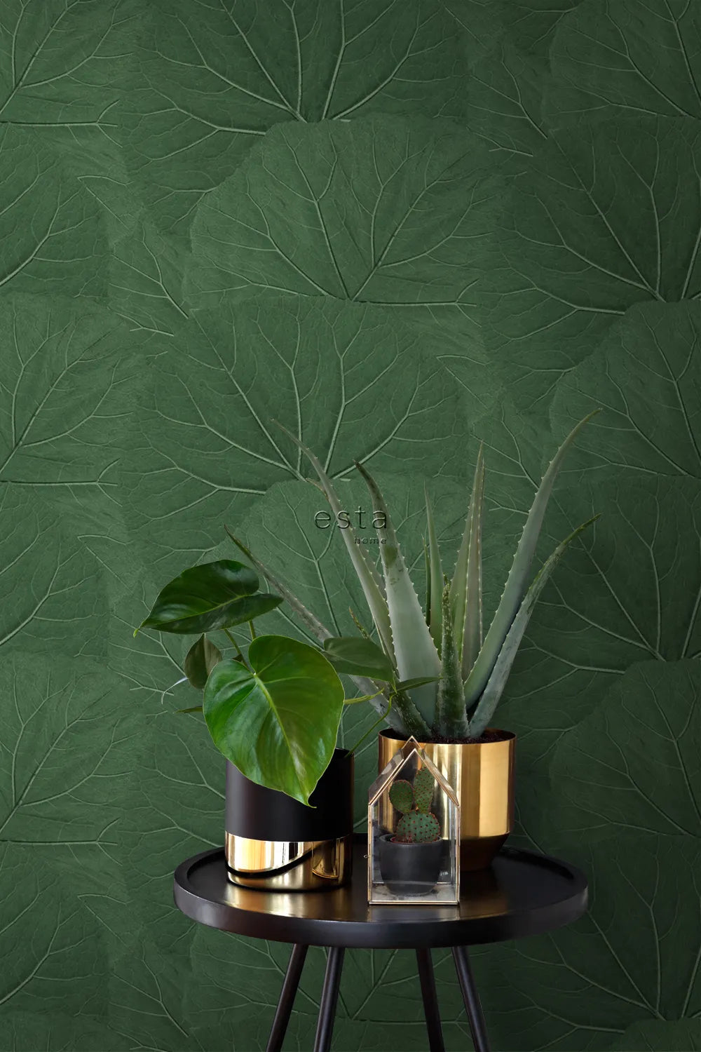 Jungle Fever Lush Harmony - Exotic Tropical Home Decor for Boho & Jungle Theme Rooms | Perfect for Living Room, Bedroom, or Office Decor