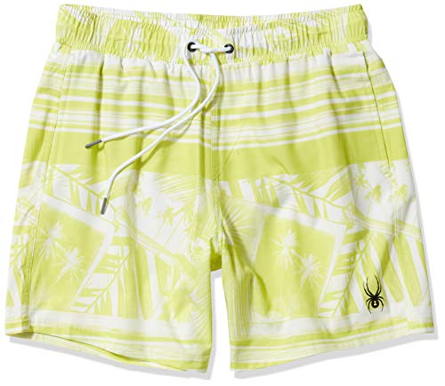 Lime Palm Stripe
