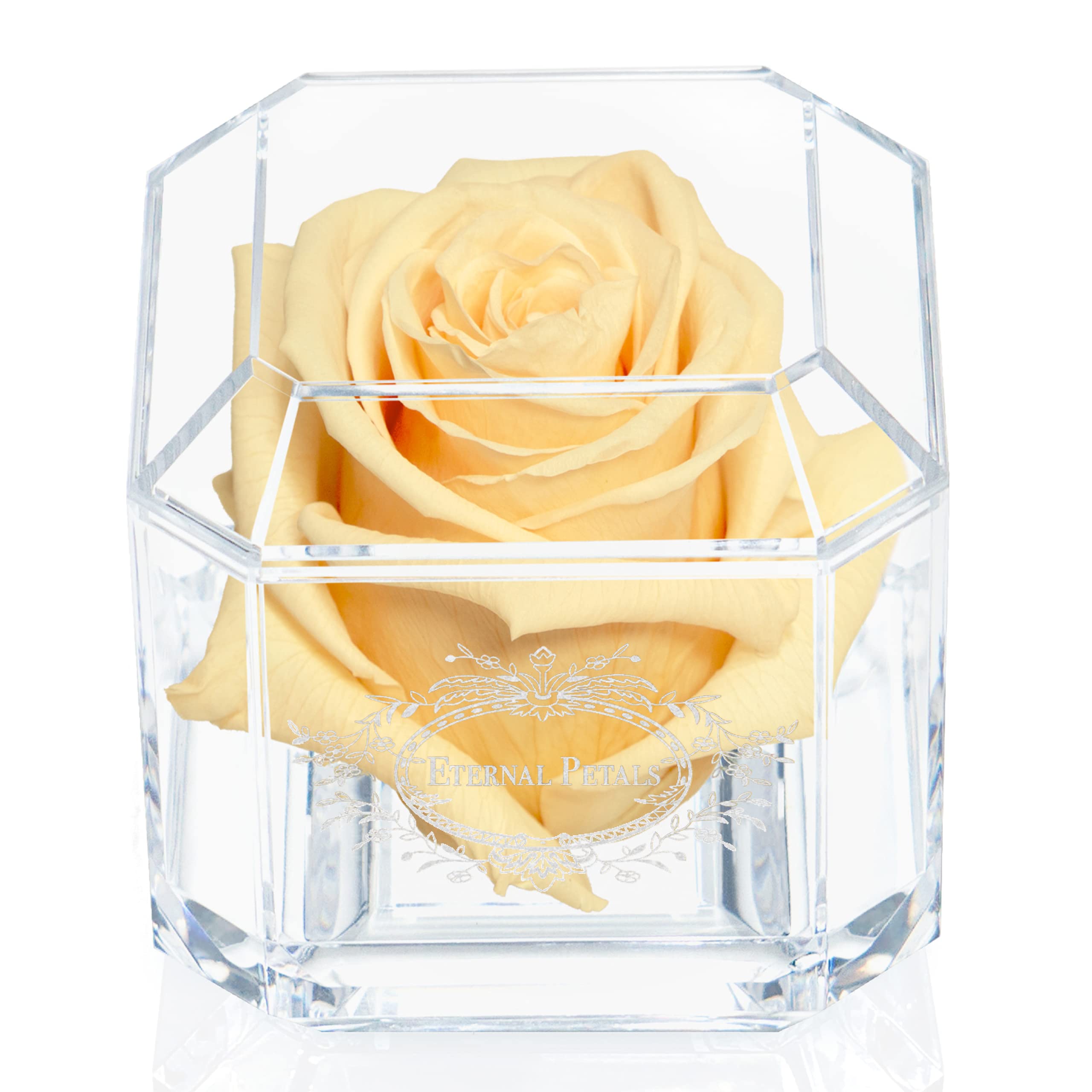 Eternal Petals Real Preserved Rose That Lasts 1 Year+ | Handmade in London | 24K White Gold Champagne Rose Gift | Perfect for Anniversaries, Valentine's Day & Romantic Occasions