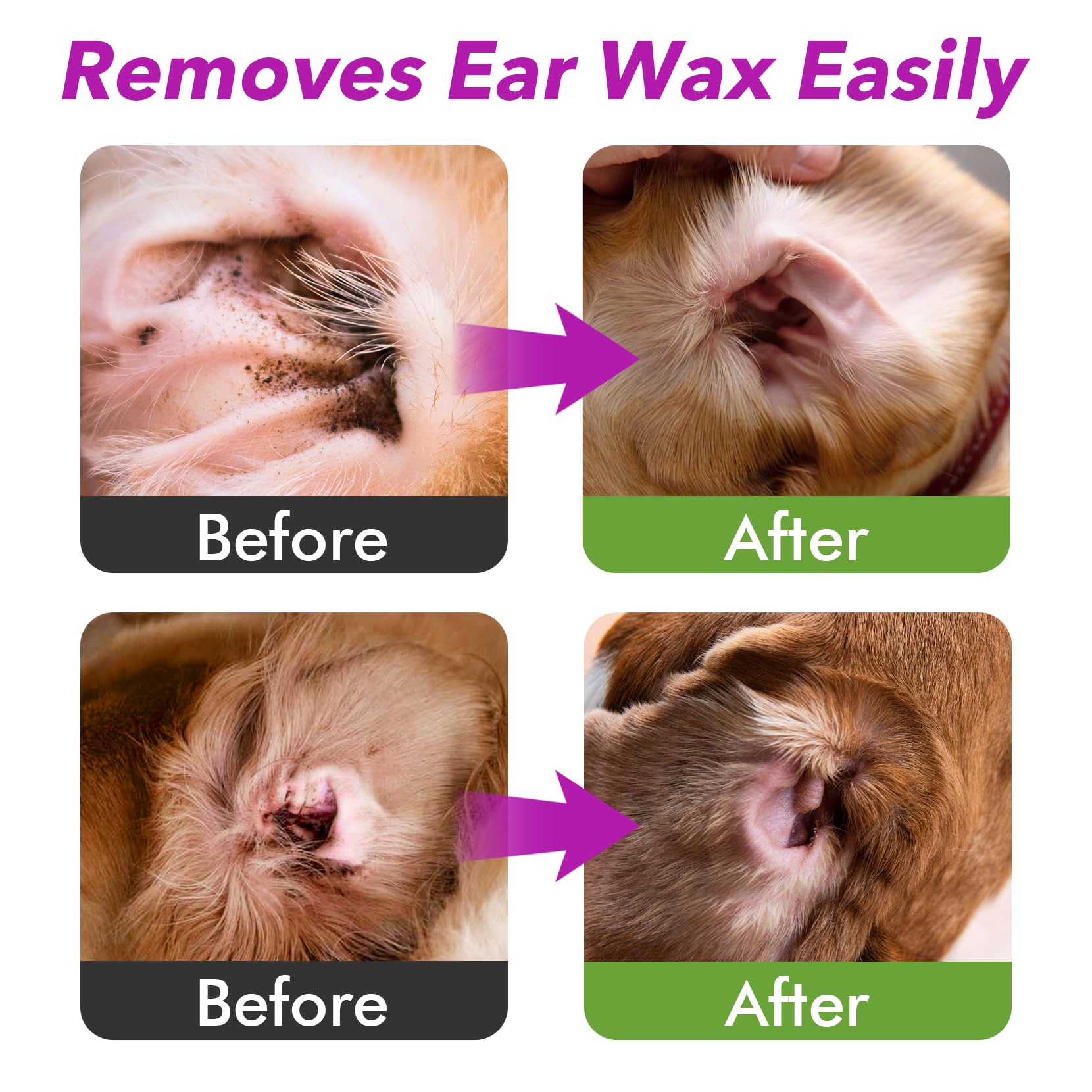 MEIQIHOME Dog & Cat Ear Cleaner - Soothes Ear Inflammation, Removes Wax & Odor - 4 Fl oz with 50 Cotton Swabs - Gentle Pet Ear Cleaning Solution for Dogs & Cats - Perfect for Regular Ear Care & Infection Prevention