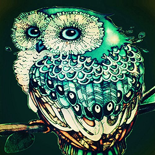 Green Owl