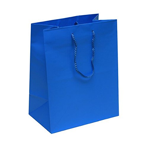 Premium JAM Paper Gift Bags with Rope Handles - Large 10