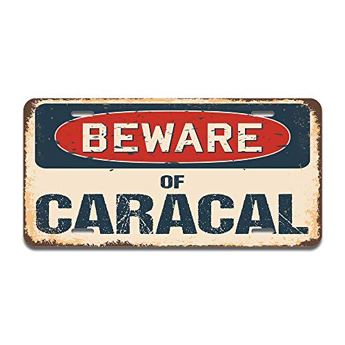 Beware of Caracal
