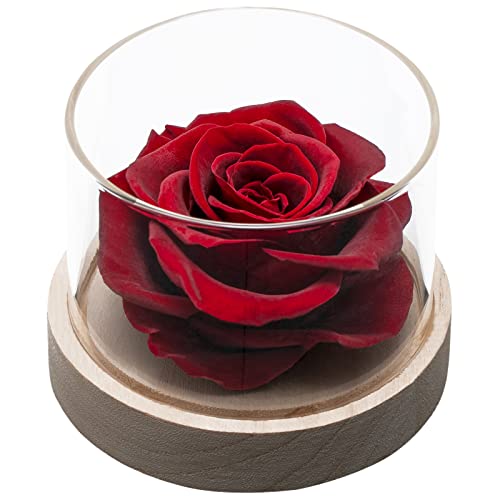 Winered