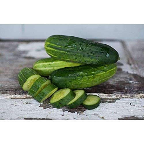 Organic Spacemaster Cucumber Seeds - 100+ Heirloom Non-GMO Seeds (Cucumis sativus) | 85% Germination Rate | Perfect for Home Gardens, Containers & Vertical Gardening