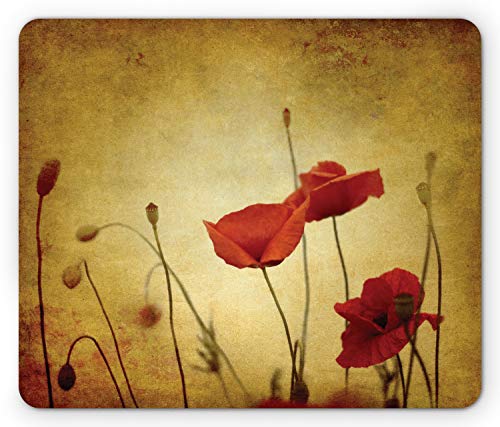 Mustard Vermilion