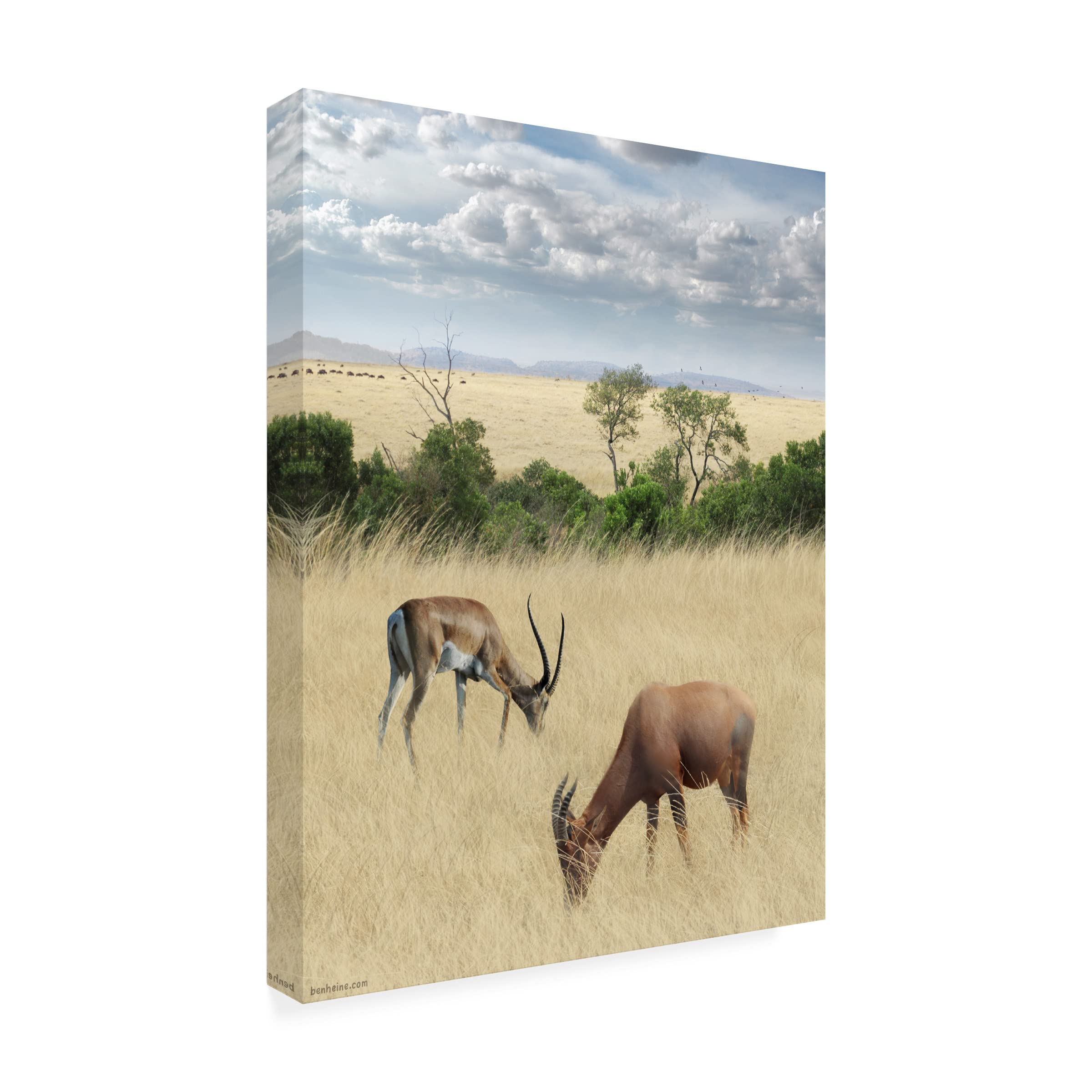 Ben Heine 'Kenya 2' Canvas Wall Art Print - Modern African Landscape Painting for Living Room, Bedroom & Office Decor | Trademark Fine Art Collection