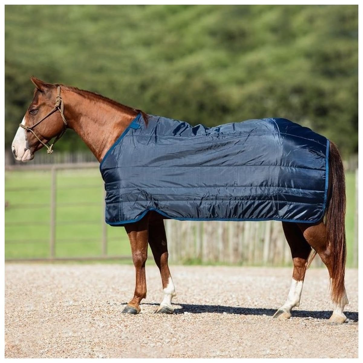 Horseware 300g Blanket Liner - Lightweight Horse Sheet for Cool Weather Riding & Stable Use