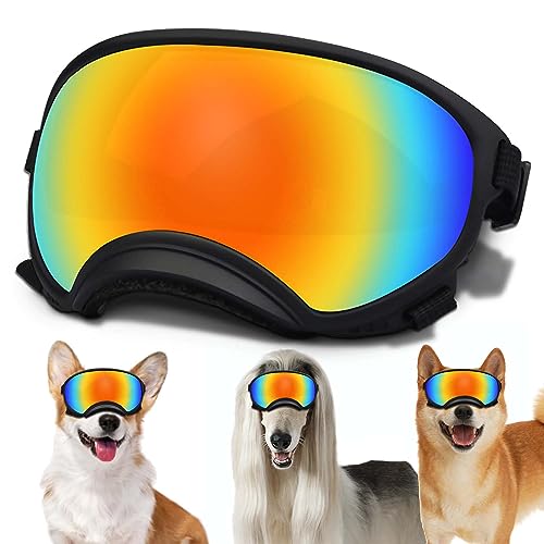 Black Frame&Colored Lens-Small