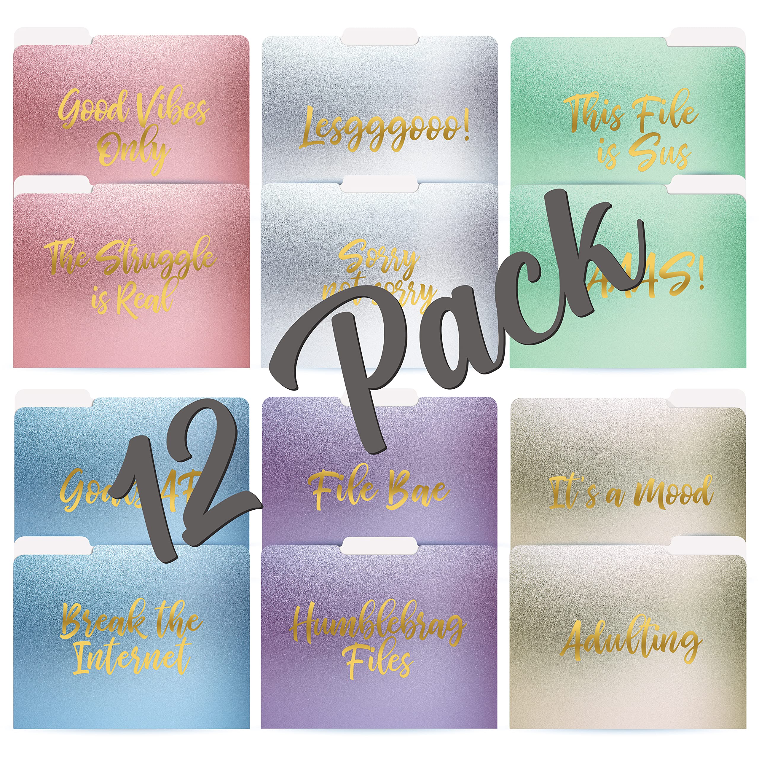 Premium Decorative File Folders 12 Pack - 12 Stylish Designs, Heavyweight Letter Size (9.5
