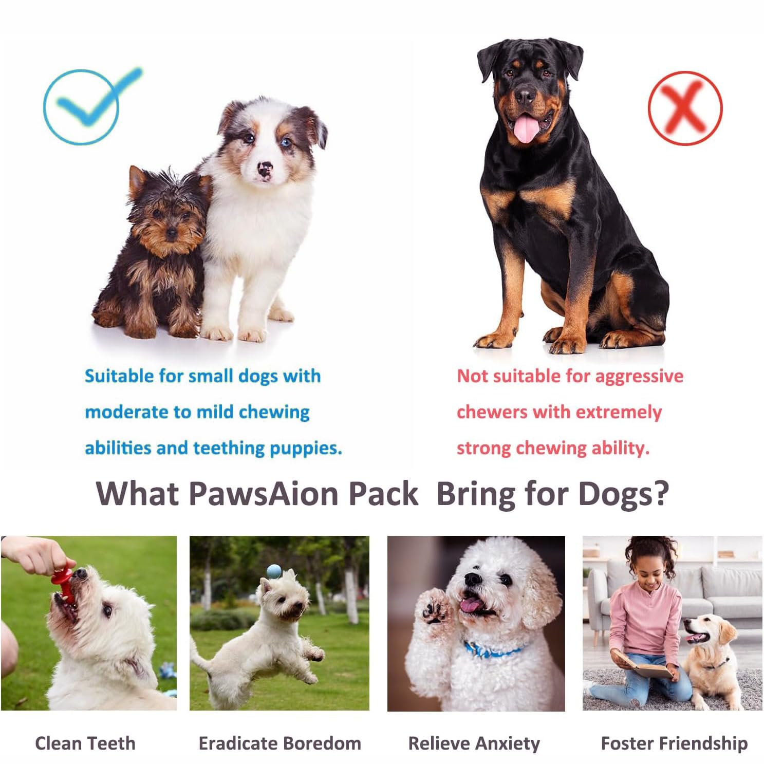 20 Pack Puppy Toys Set - Durable Chew Toys for Teething Puppies, Interactive Dog Toys for Small Breeds - Tough Rope & Soft Rubber Chew Toys Bundle for Puppy Training | Great for Indoor Play, Outdoor Fetch & Dental Health
