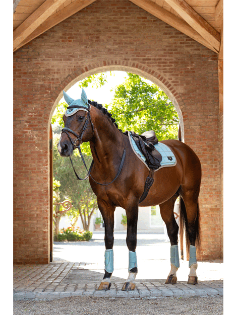 Premium Loire Close Contact Square Saddle by Le Mieux - Perfect for Dressage & Show Jumping | English Equestrian Riding Gear