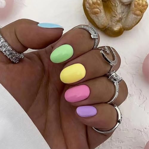 Cute Multi-Color Rainbow