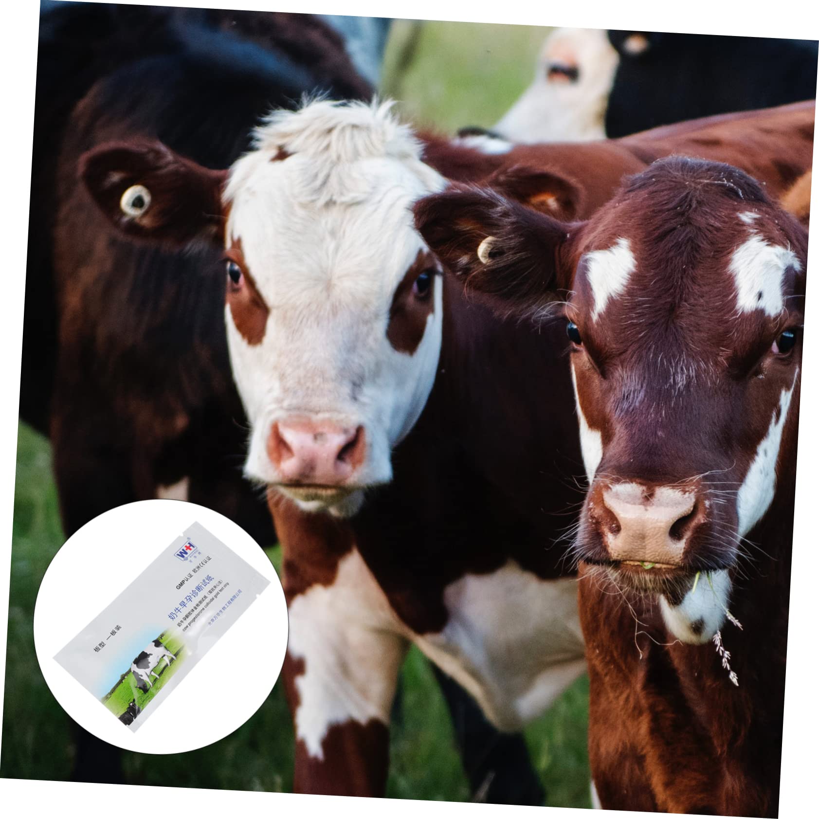 Healifty 2 Pack Pregnancy Test Strips for Pigs, Horses & Cows - Livestock Pregnancy Detection Kit for Farm Animals - Accurate Sow & Cattle Breeding Tools for Dairy Farms & Ranches