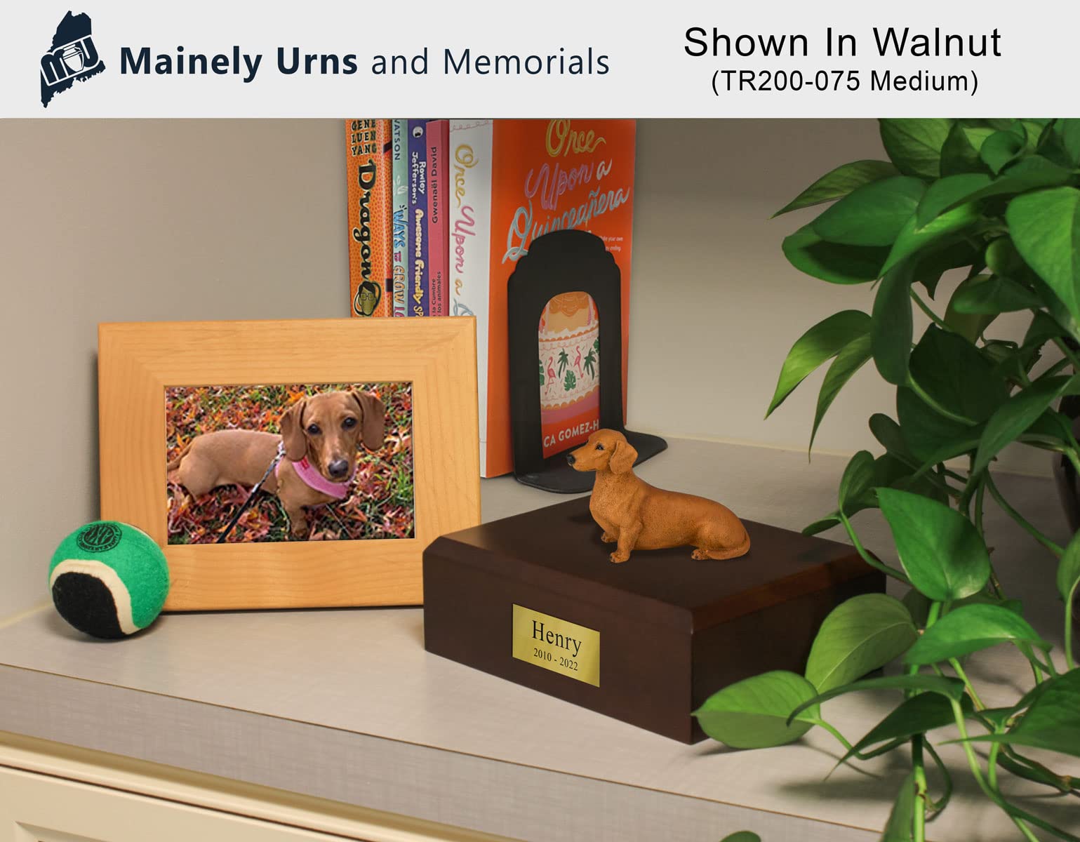 Personalized Small Dachshund Pet Cremation Urn for Ashes - Solid Wood Dog Memorial Urn (Maple, Oak, Walnut) with Handcrafted Resin Figurine - Holds Up to 45lbs - Perfect for Home Memorials, Pet Loss Gifts & Remembrance Ceremonies
