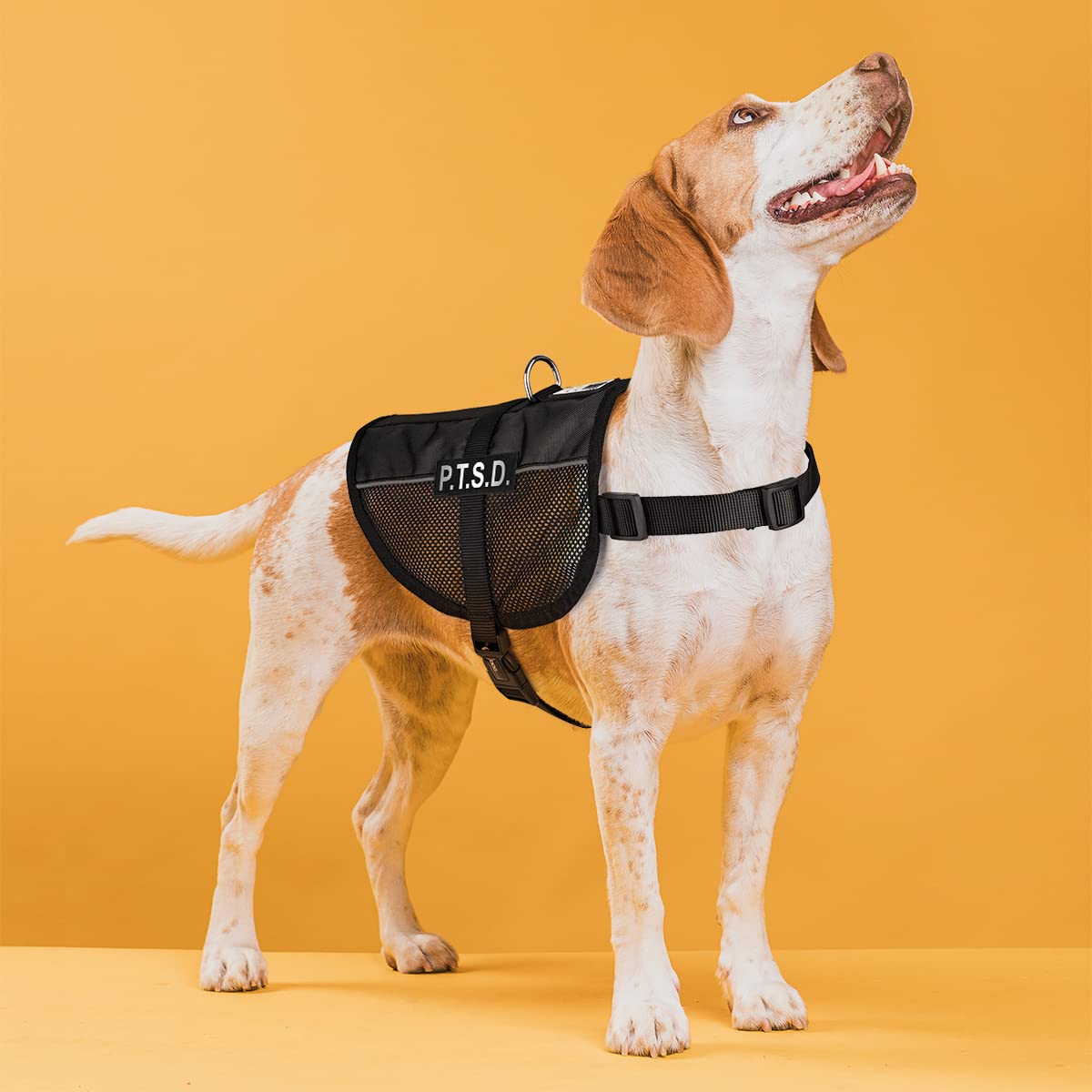 Dogline MaxAire Mesh Cooling Vest for Dogs - Breathable Summer Dog Vest with 2 Removable PTSD Patches - Adjustable 13