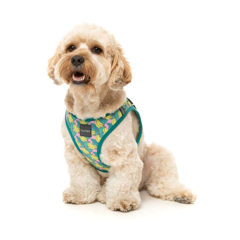 Fuzzyard Bananarama Dog Step-in Harness - Adjustable Pet Vest with Reflective Strips (6 Sizes) for Small to Large Dogs - Perfect for Walking, Training & Outdoor Adventures