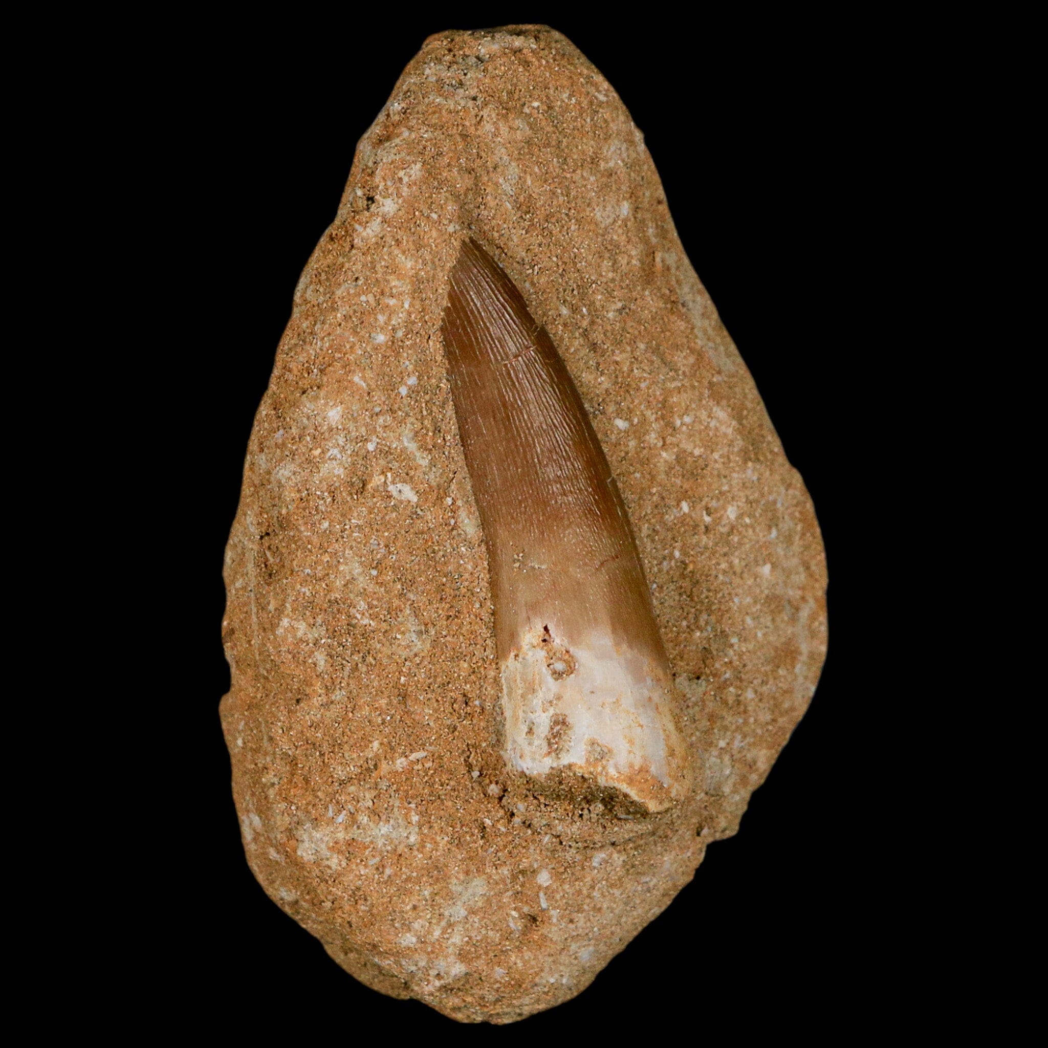 1.9