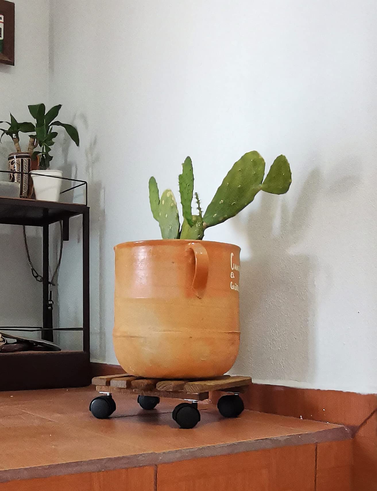 Handmade Wood Plant Stand with Caster Wheels - 12 Inch Square Plant Caddy & Pot Roller Base for Indoor/Outdoor Plants - Perfect for Living Room, Patio, Garden Decor