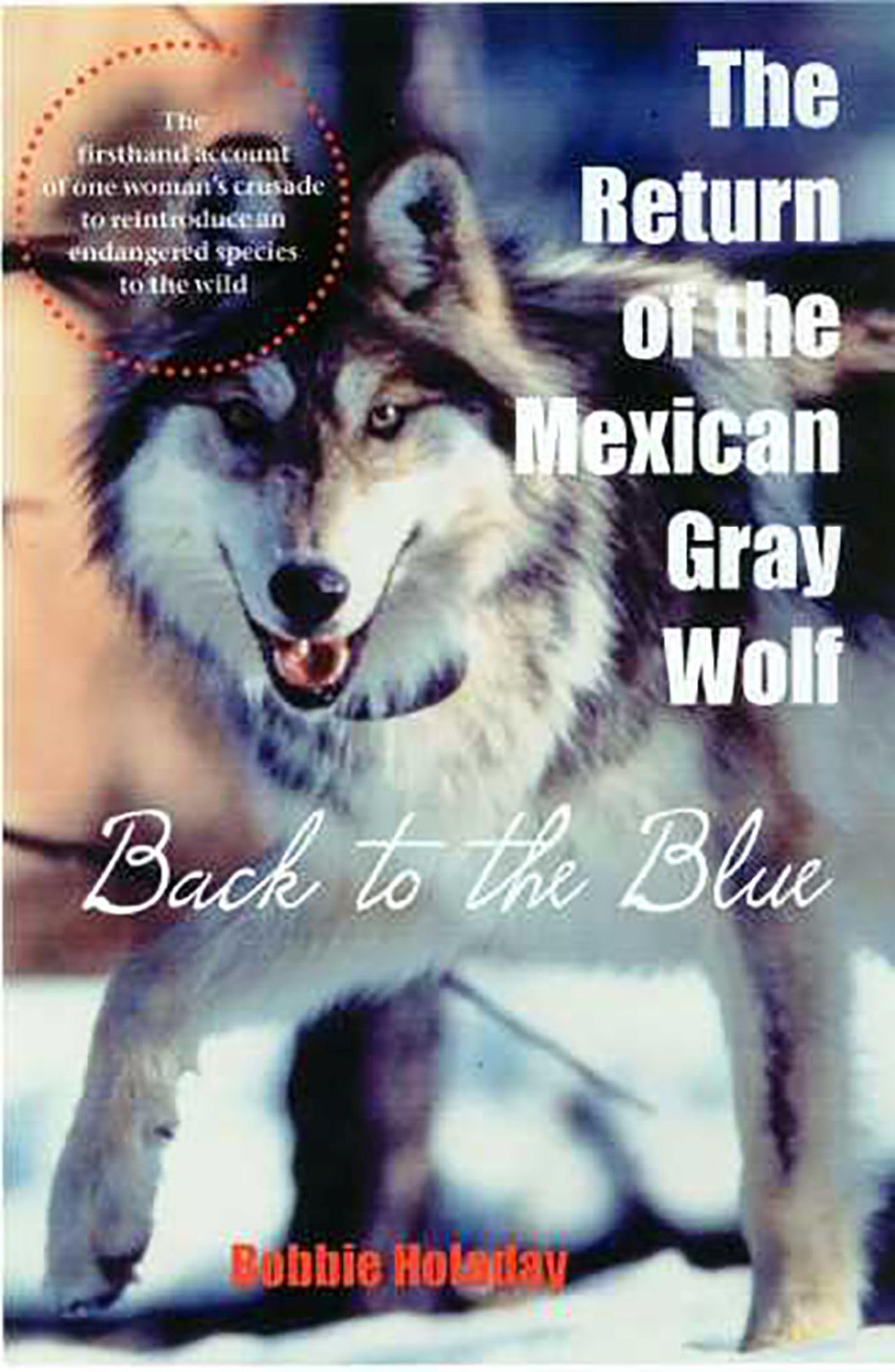 Mexican Gray Wolf Conservation: The Return to the Blue Range - Wildlife Protection & Ecosystem Restoration | Perfect for Nature Enthusiasts & Environmental Education