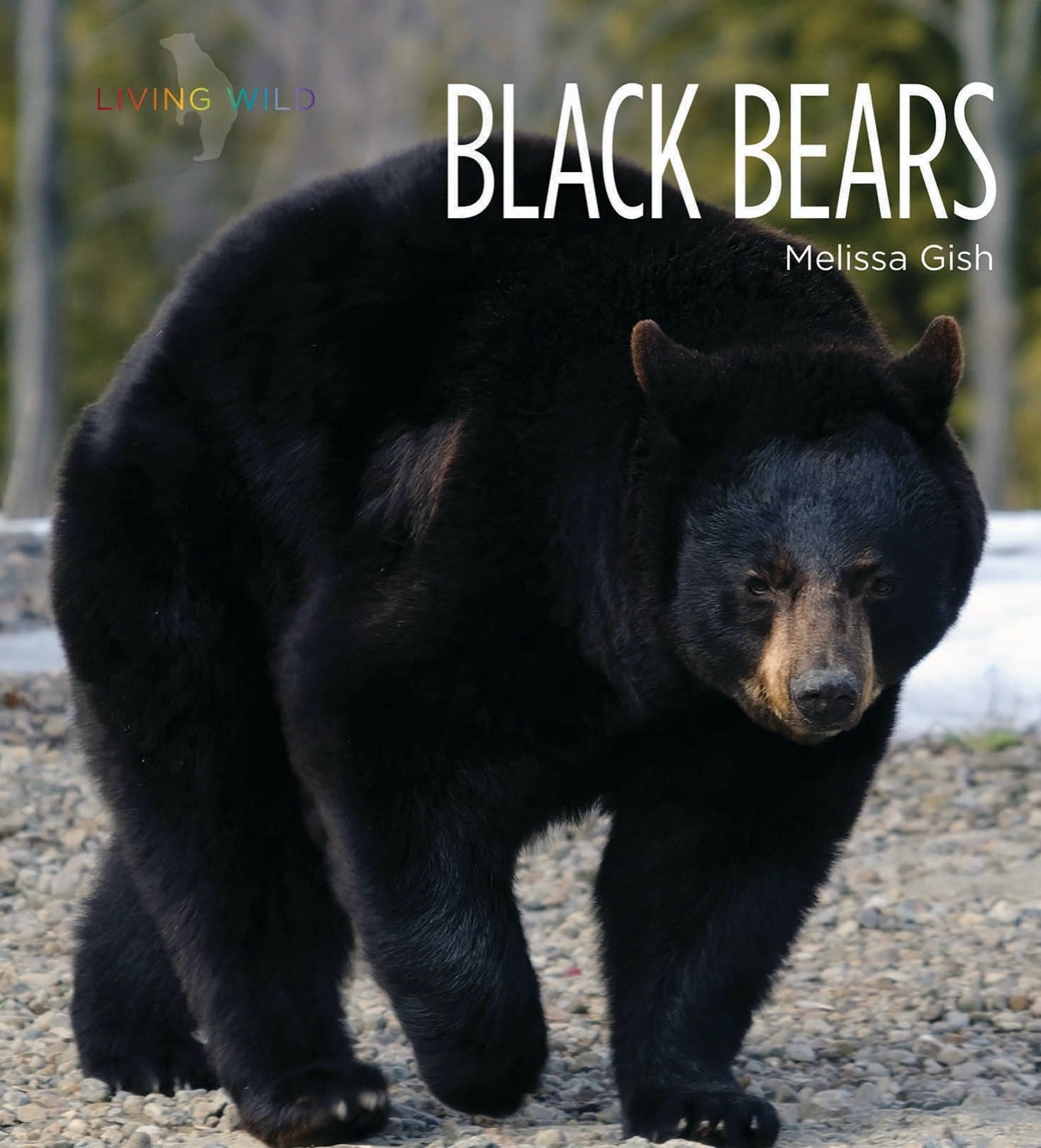 Black Bears Book - ISBN 9781608189564 - Wildlife Education & Nature Reading for Kids & Adults