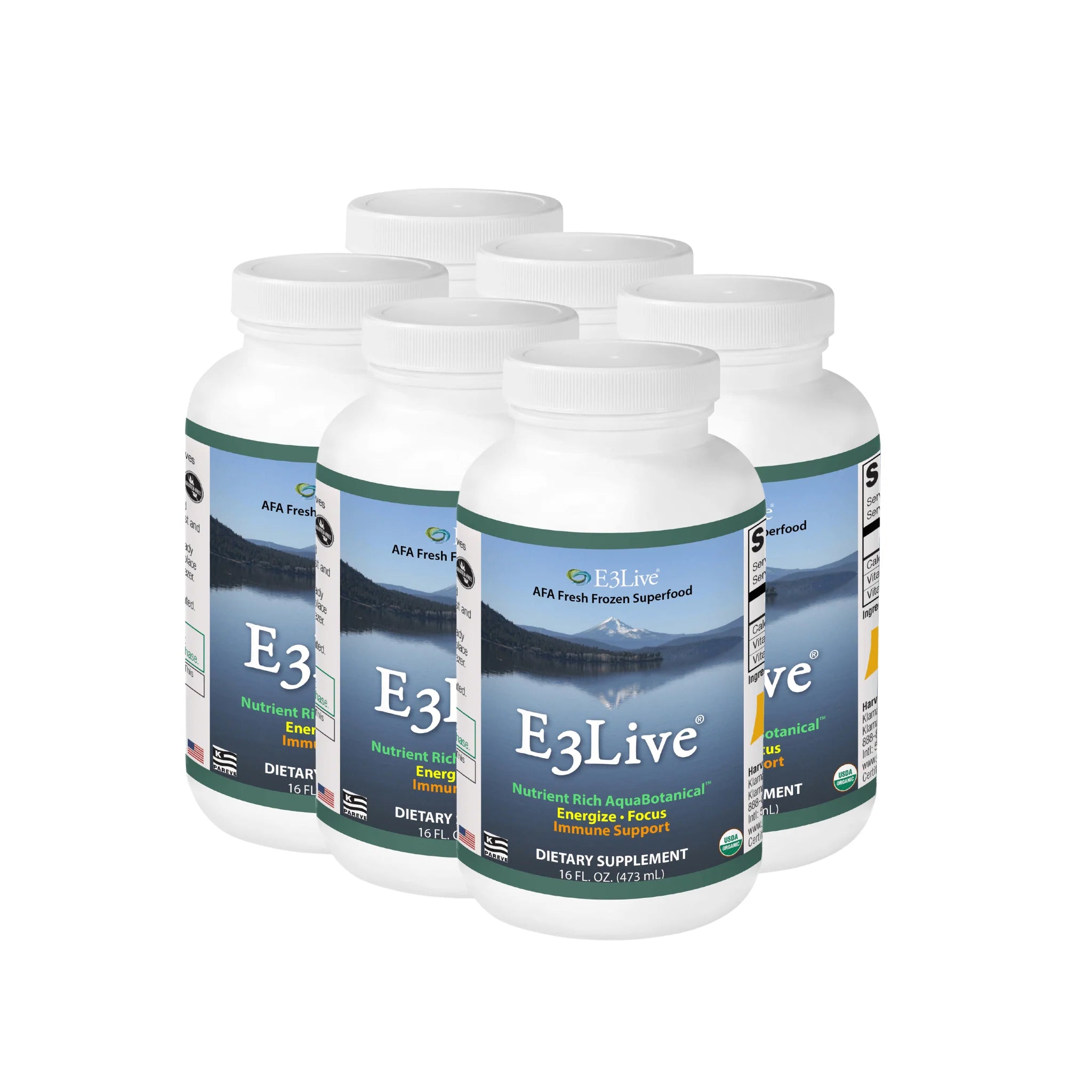 E3Live® Original Freshwater Blue-Green Algae Superfood - 16oz/473ml (6 Pack) - Boost Energy, Immunity & Detox - Perfect for Smoothies, Juices & Daily Wellness Routine