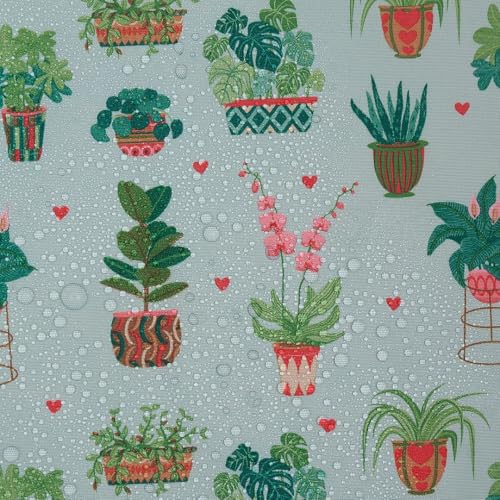 House Plant Mint