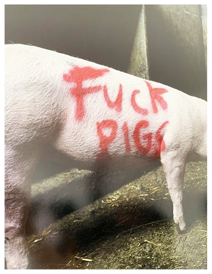 Banksy 'Fuck Pigs' High Society Print by Lazarides - Street Art Wall Decor for Urban Home & Office