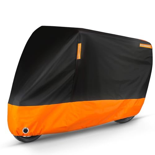 Black & Orange