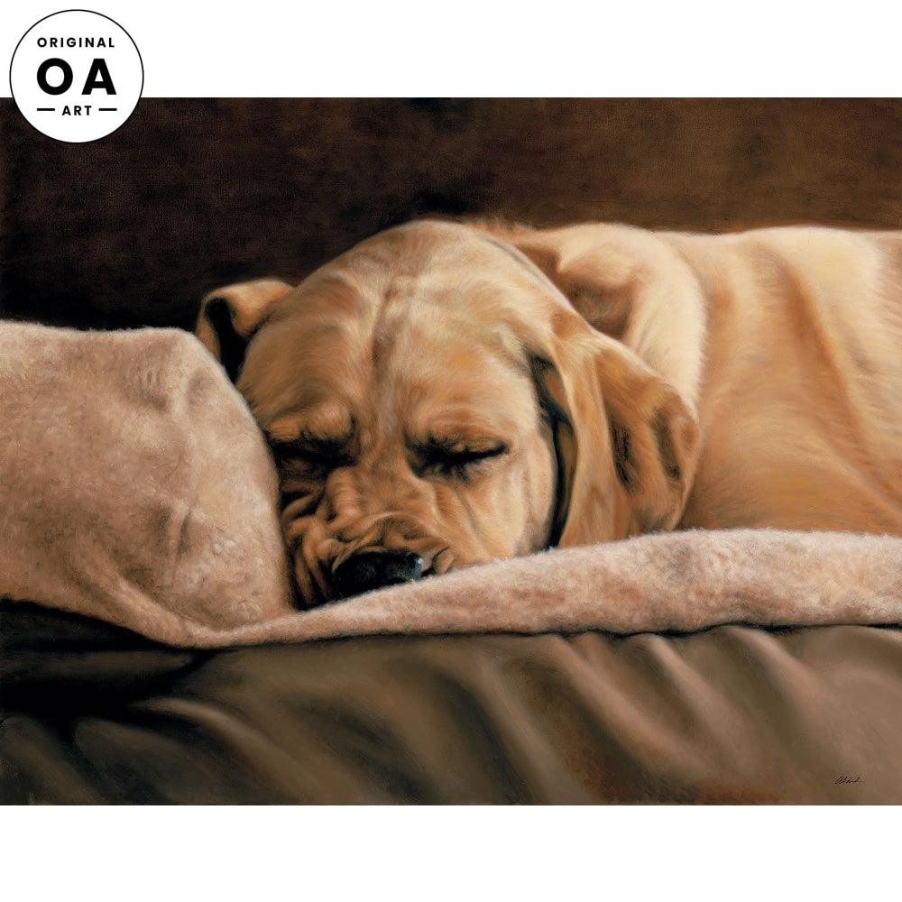 Premium Dog Food for Working Breed Dogs - High Protein & Energy Formula for Active Dogs - Ideal for Hunting, Herding & Service Dogs
