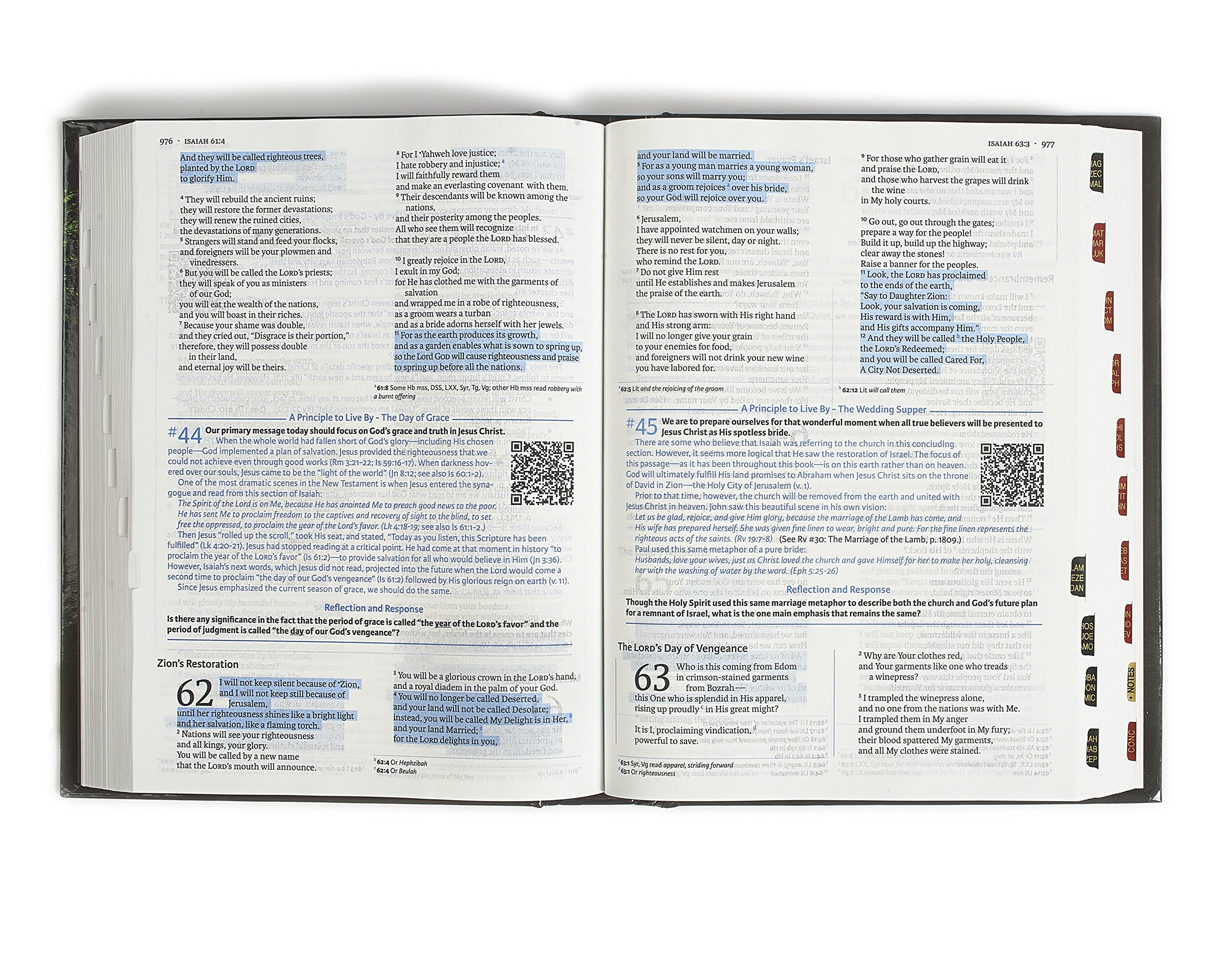 Life Essentials Study Bible - Hardcover Indexed with Biblical Principles for Daily Living | Perfect for Personal Devotion, Bible Study Groups & Spiritual Growth