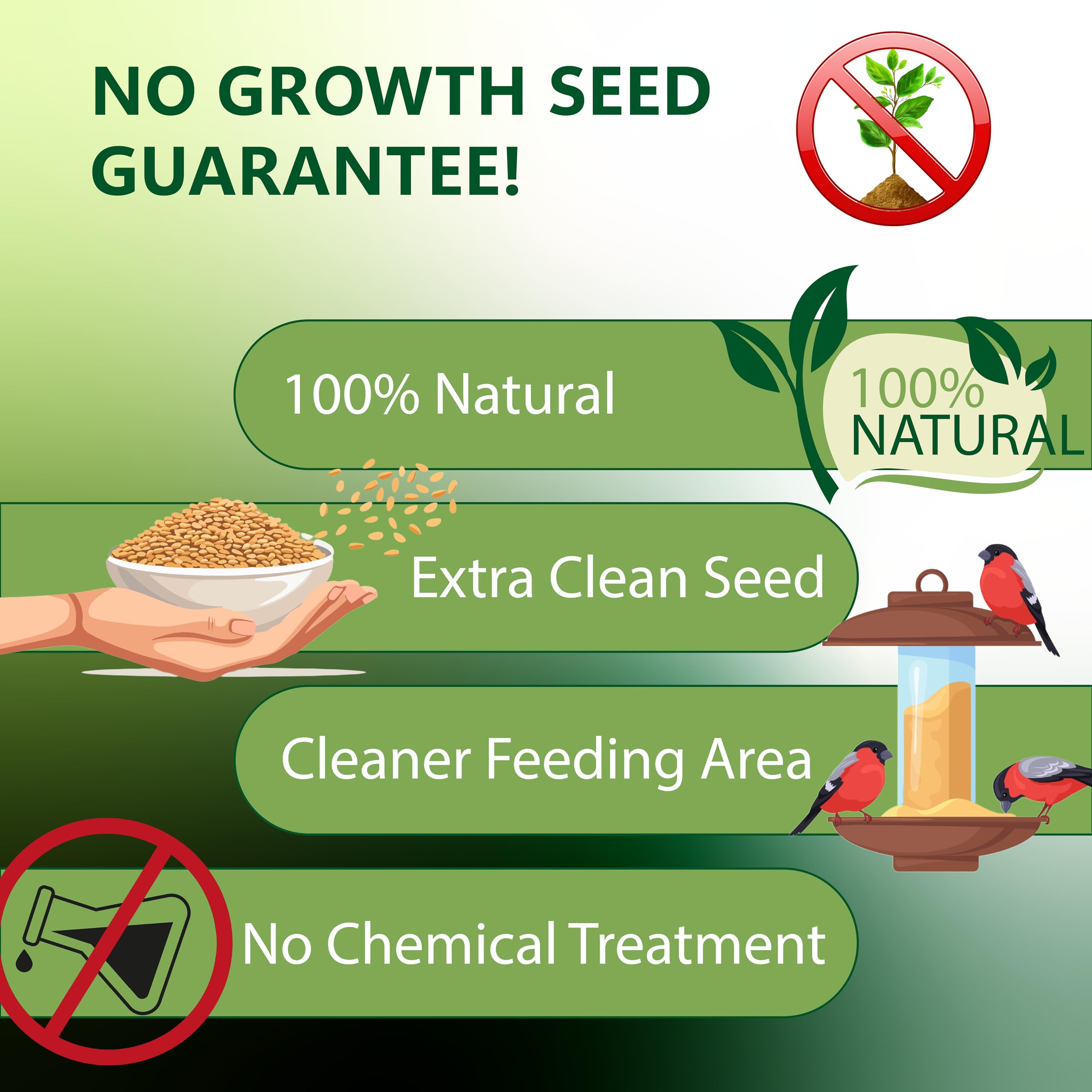 Premium Nyjer/Thistle Bird Seed - 10lb No-Grow Wild Bird Food with Free Mesh Sock Feeder | Attracts Finches & Songbirds | Backyard Birdwatching & Garden Feeding