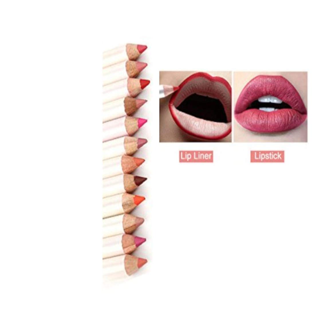 Angelie Waterproof Lip Liner Pencil Set - 12 Pack Long Lasting Matte Lip Liner for All-Day Wear | Perfect for Makeup Artists, Bridal Looks & Everyday Beauty Routine
