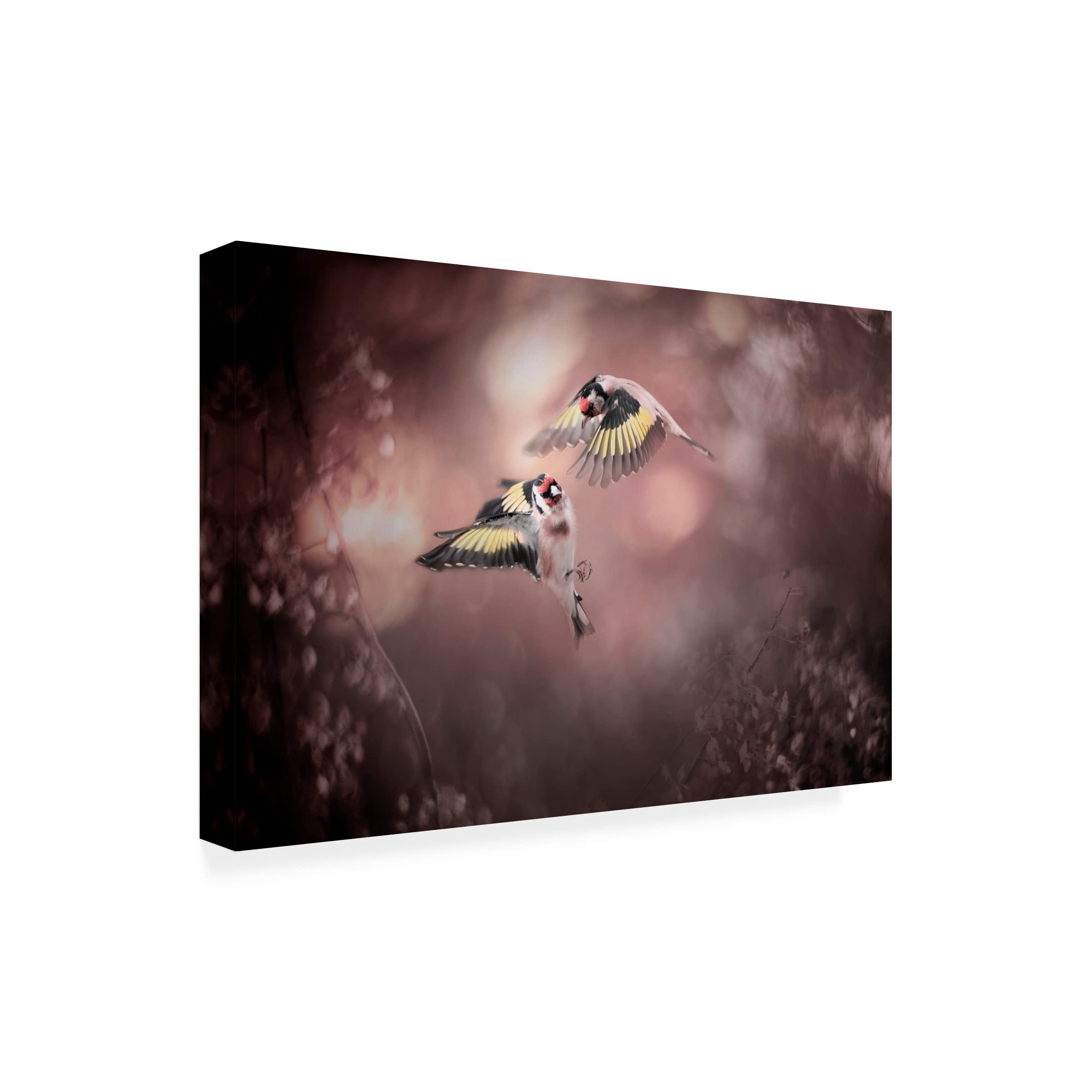 Trademark Fine Art 'Stiglitz' Canvas Wall Art by Doris Reindl - Modern Abstract Painting for Living Room & Office Decor