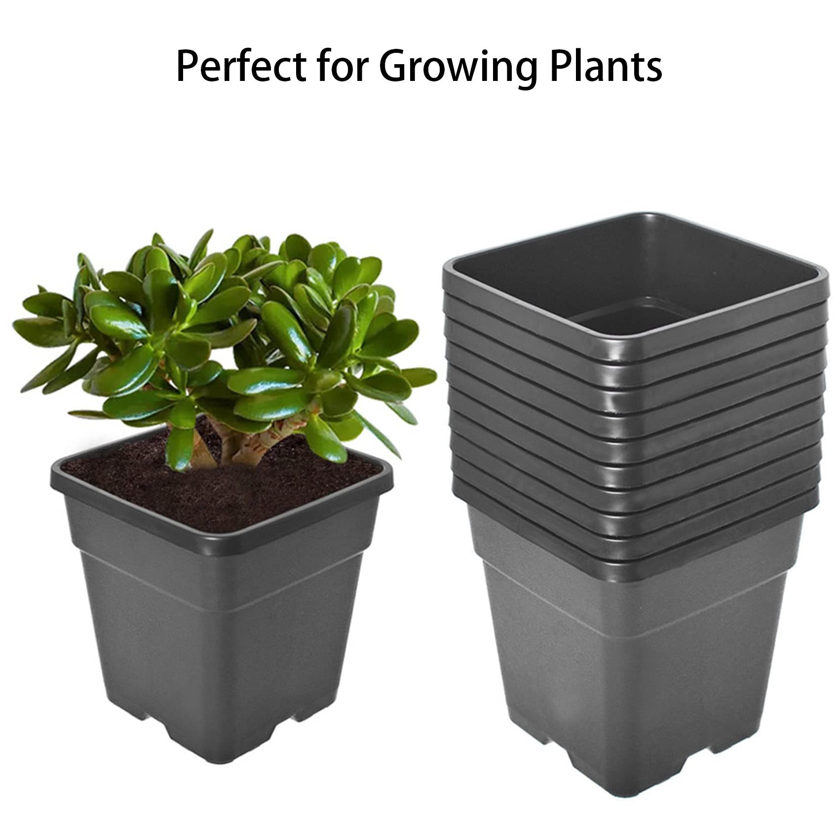 10-Pack 2 Gallon Plastic Plant Pots with Drainage Holes - Durable Injection Molded Flower Planters for Indoor/Outdoor Plants, Vegetables, Seedlings & Gardening - Perfect for Home, Garden, Nursery & Urban Farming