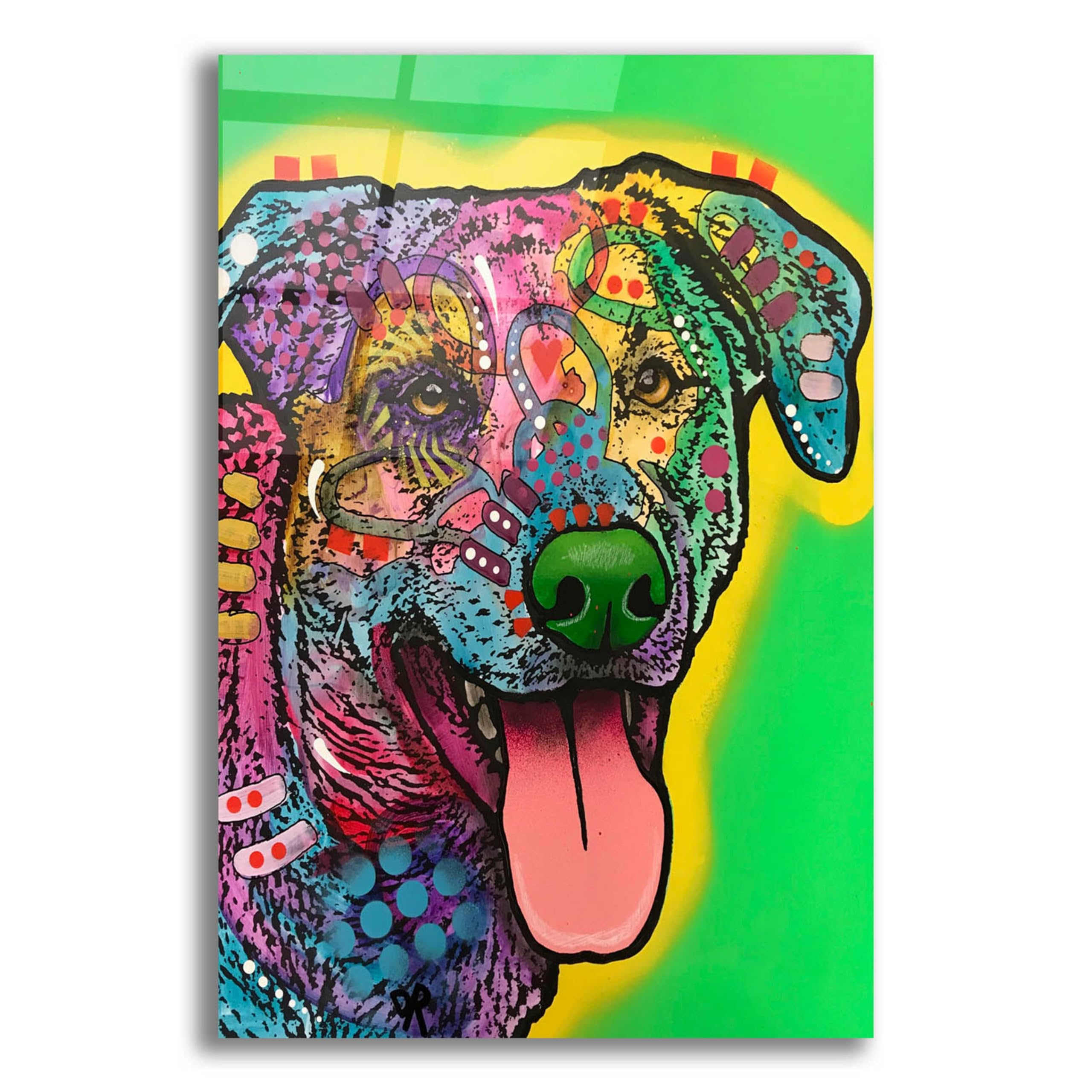 Dean Russo 'HawkEye' Acrylic Glass Wall Art - 16x24 Inches Modern Home Decor for Living Room, Bedroom & Office | Vibrant Animal Artwork for Contemporary Interior Design & Gift Giving