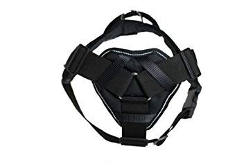 Dean & Tyler Reflective Padded Dog Harness - Large, Black with Reflective Trim - Comfortable & Secure Walking Harness for Medium to Large Dogs - Perfect for Night Walks, Hiking & Outdoor Adventures