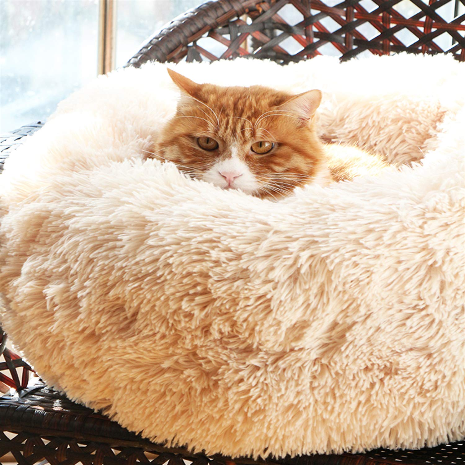 Cozy Pet Cave Bed - Warm & Soft Dog Bed, Cat Bed, Puppy Sleeping Bag - Perfect for Small Pets to Cuddle & Sleep Comfortably - Ideal for Indoor Use, Winter Warmth & Pet Relaxation