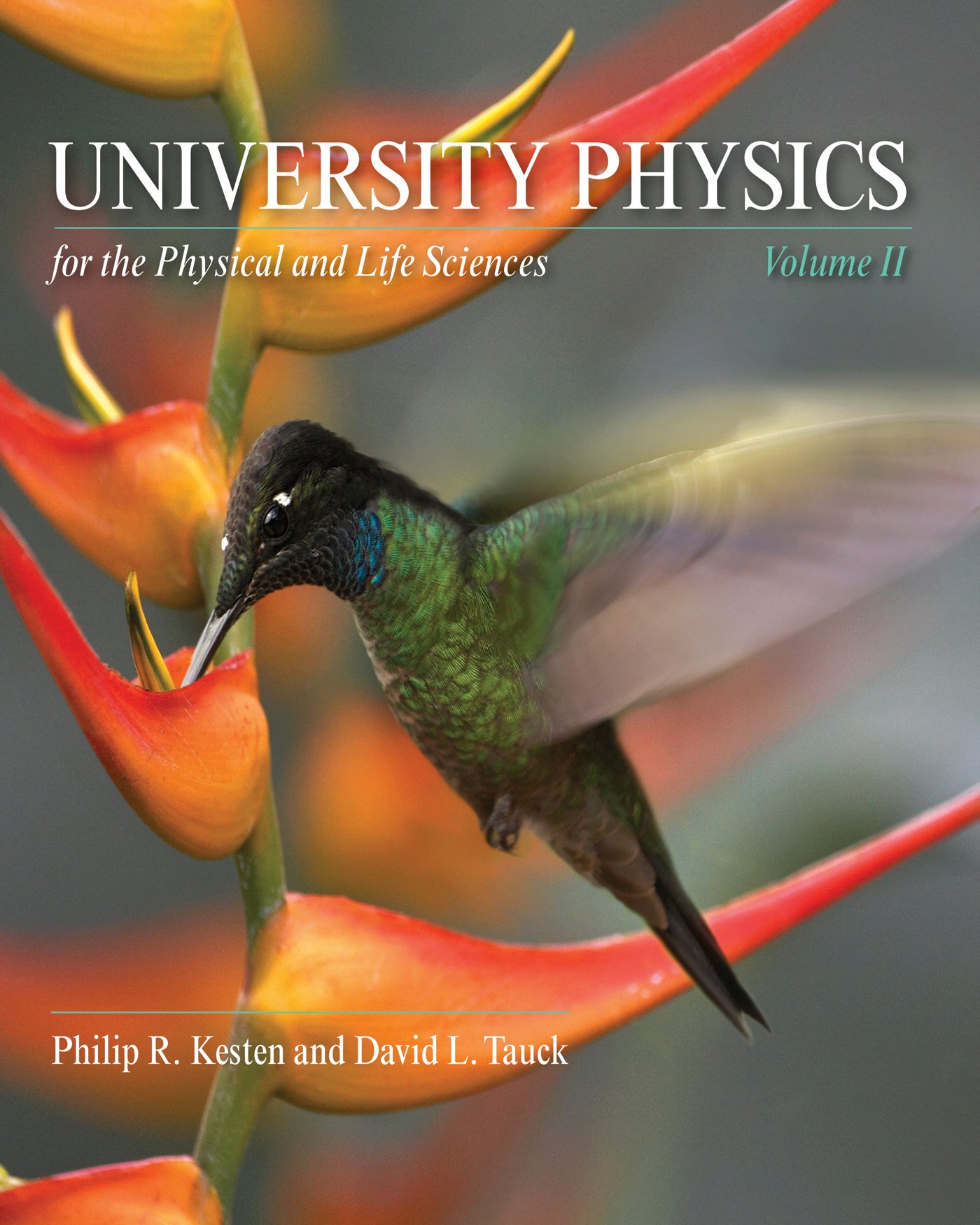 University Physics for the Physical and Life Sciences: Volume II - Comprehensive College Textbook for STEM Students | Ideal for Physics Courses, Lab Research & Scientific Studies
