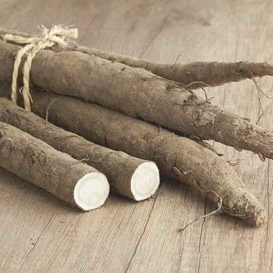 Organic Gobocha Japanese Burdock Root Tea Bags - 15 Count | Chikyubatake | Herbal Detox Tea for Digestion & Immunity | Perfect for Morning Rituals & Afternoon Relaxation