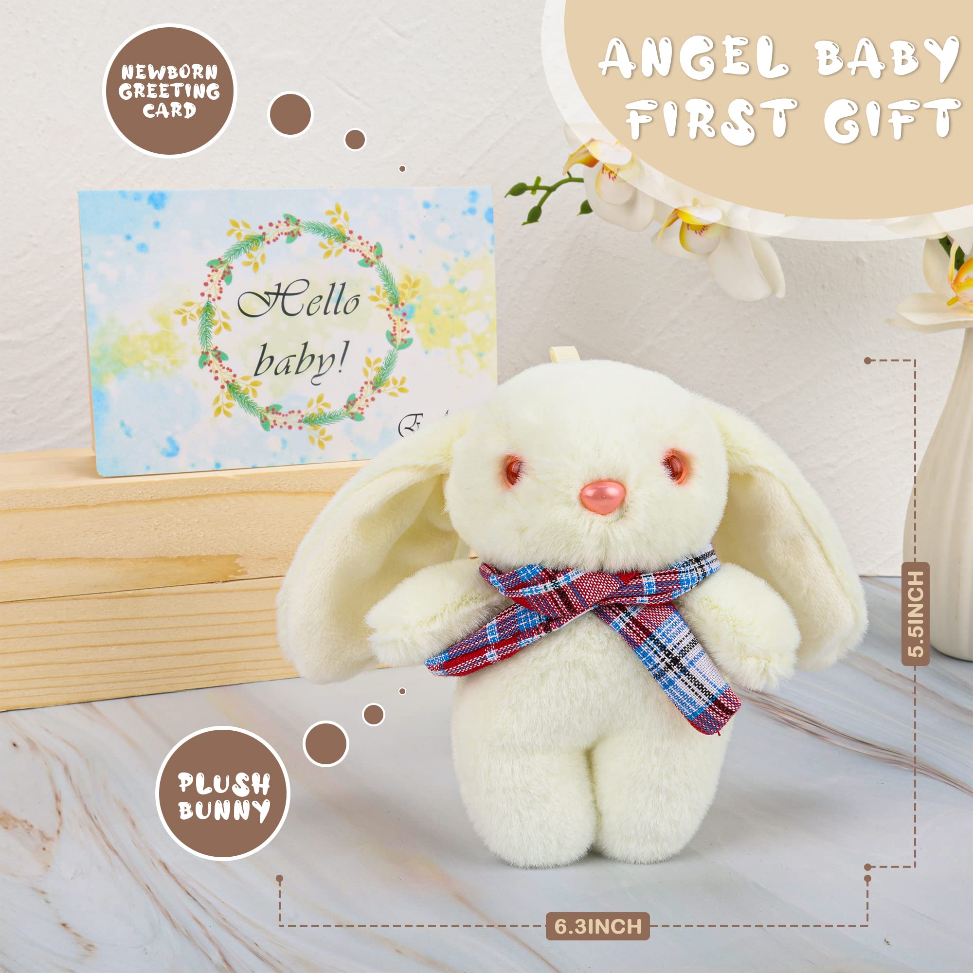 EAQ Newborn Baby Gift Set - Unisex Essentials for Boys & Girls with Swaddle, Hat, Socks & Soft Rabbit Toy | Perfect Baby Shower, Easter & Welcome Gifts for New Parents