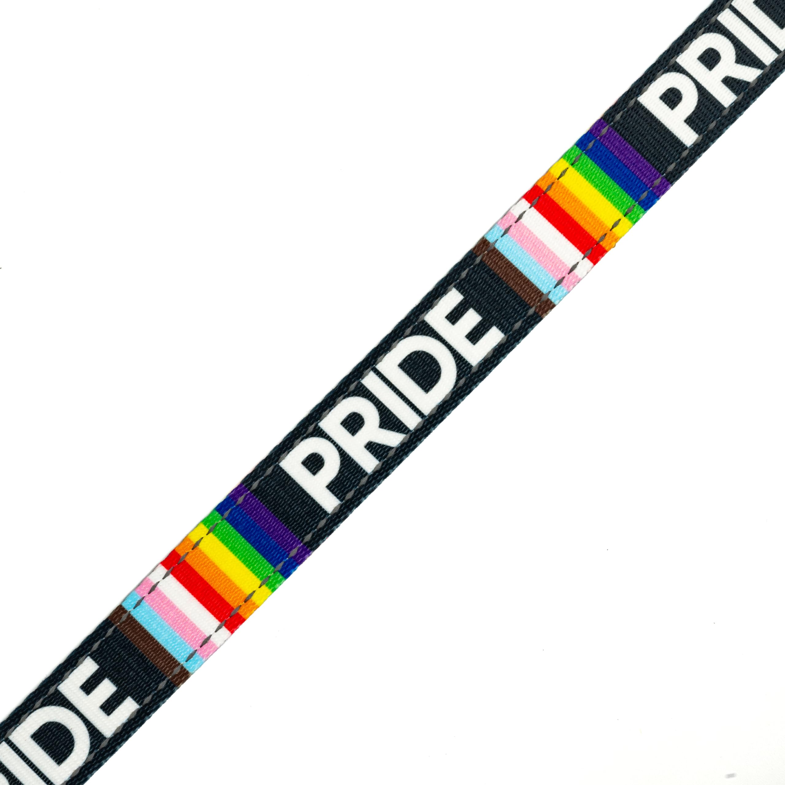 Country Brook Design - Pride Reflective Polyester Webbing for Safety Gear, Dog Collars & Outdoor Equipment | High Visibility Rainbow Stripes for Night Running, Cycling & Pet Accessories