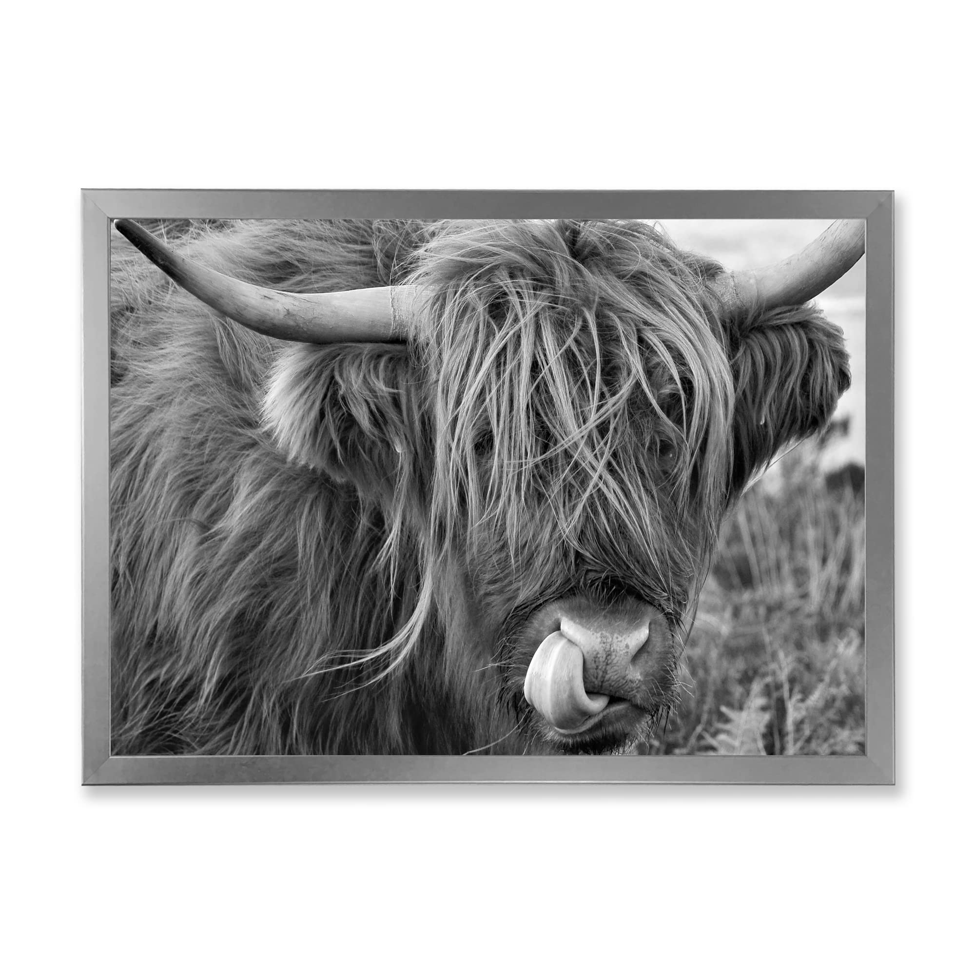 Scottish Highland Cow on Moorland II - Farmhouse Framed Wall Art Painting for Living Room, Bedroom & Office Decor