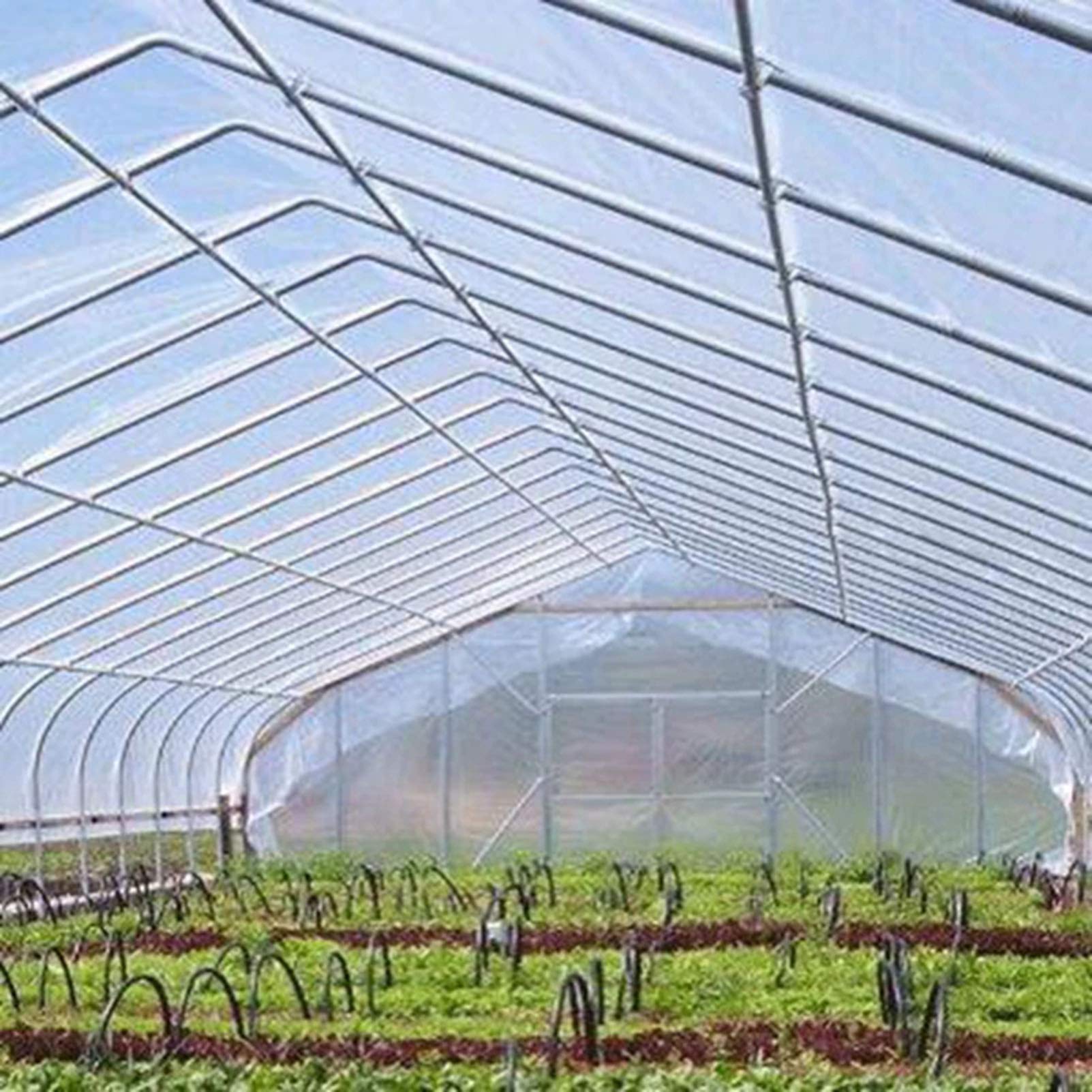 16x20ft Clear Waterproof Tarp Cover - Heavy Duty PVC Transparent Plastic Tarpaulin Sheet for Rainproof Protection | Ideal for Greenhouses, Patios, Garden Sheds & Outdoor Enclosures