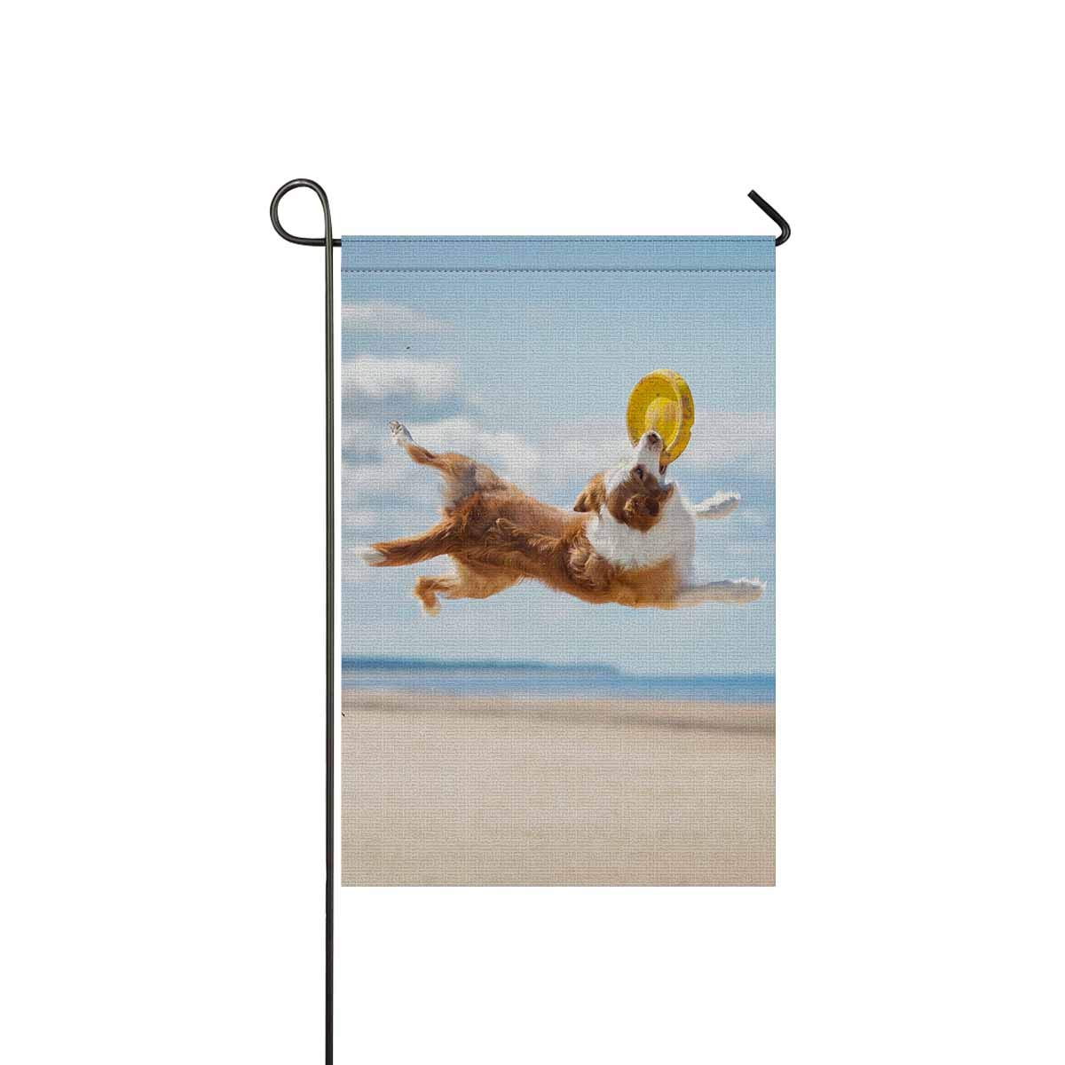 InterestPrint Border Collie Beach Garden Flag - Spring Summer Seasonal Outdoor Decorative Yard Lawn Flag for Dog Lovers | Perfect for Patio, Front Porch & Backyard Decor