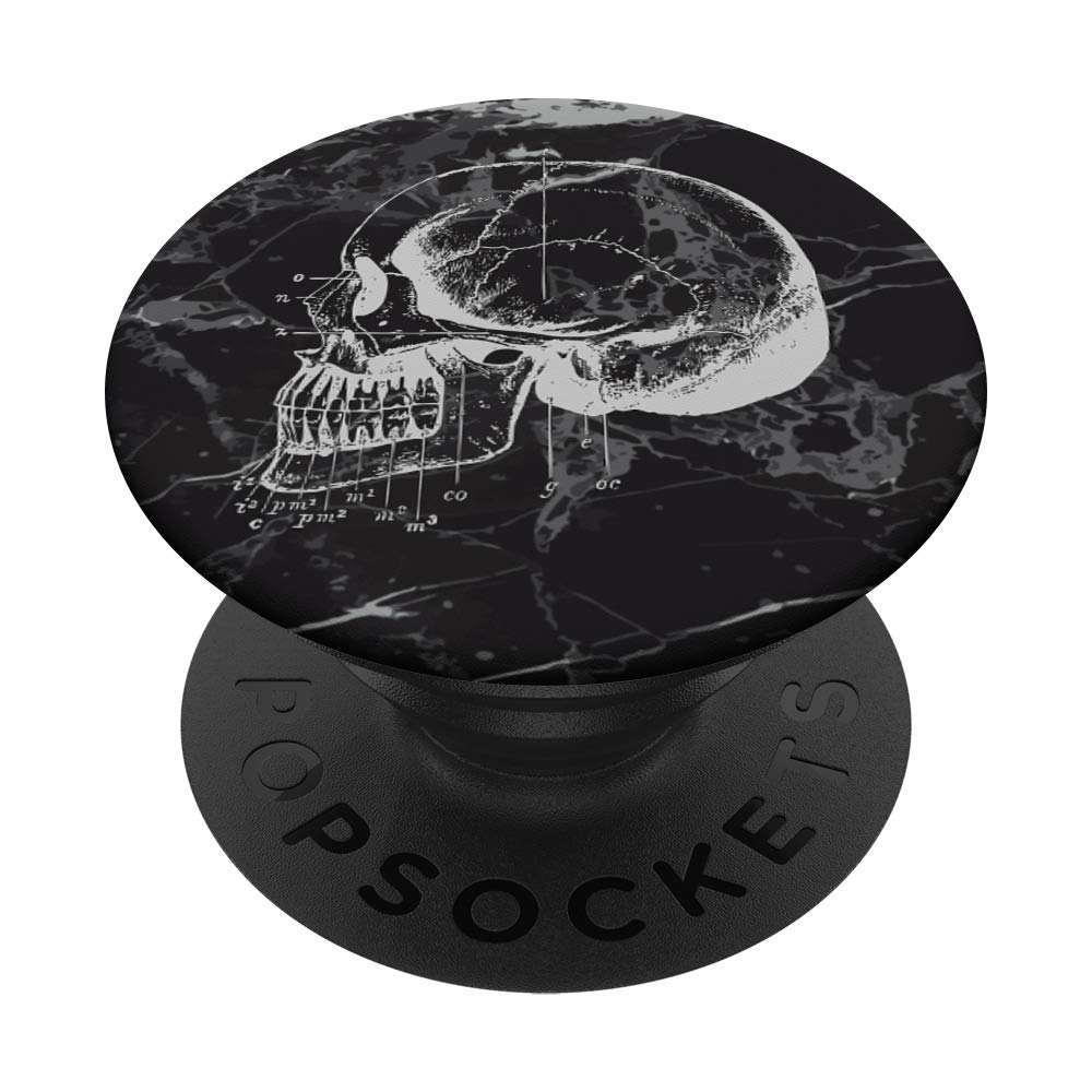 Anatomical Skull Black Print PopSocket PopGrip - Swappable Phone & Tablet Grip for Dentists | Perfect for Dental Offices, Medical Students & Halloween Decor